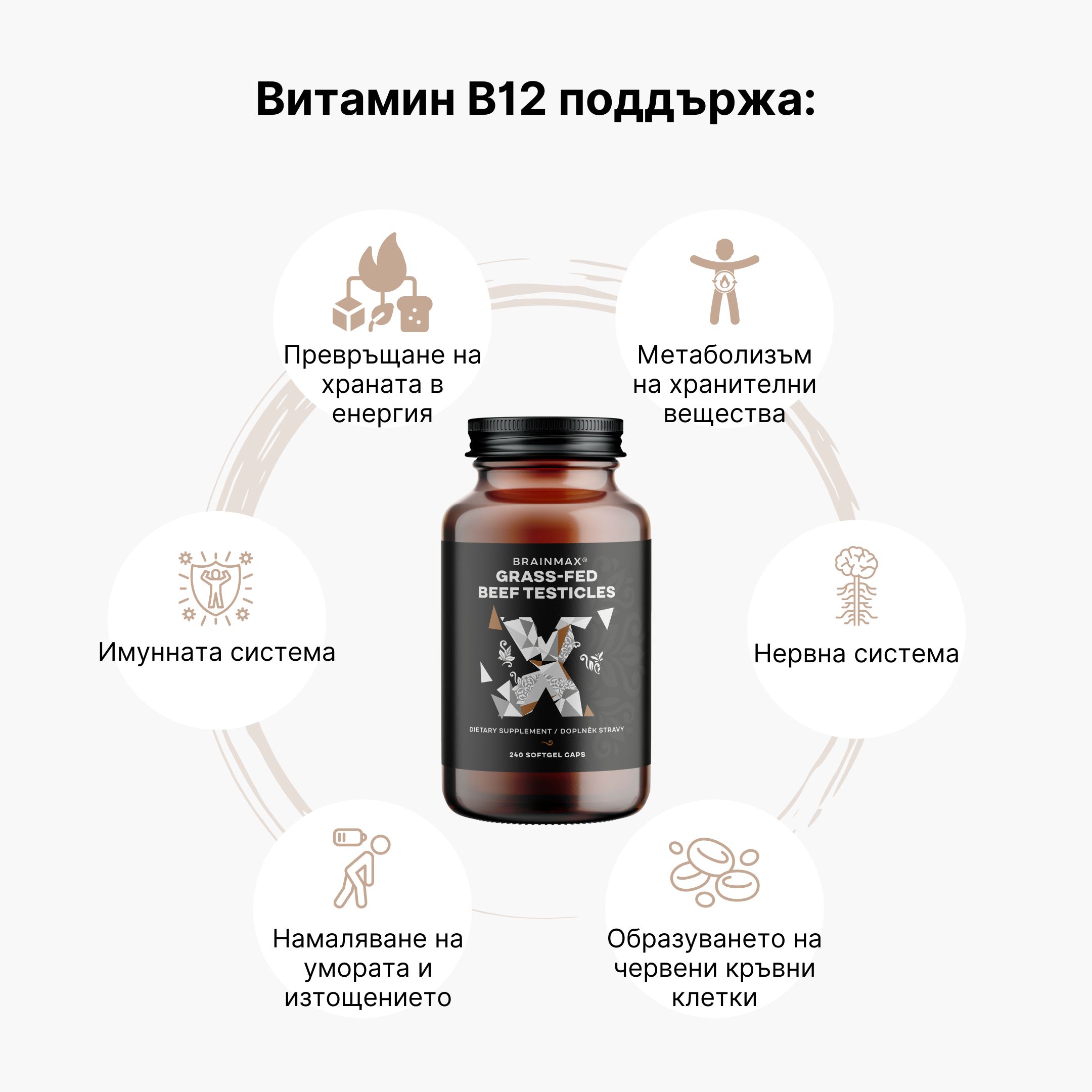 (Bulharština) Vitamín B12